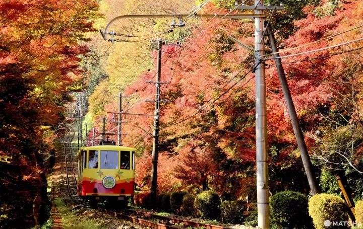 Mt Takao