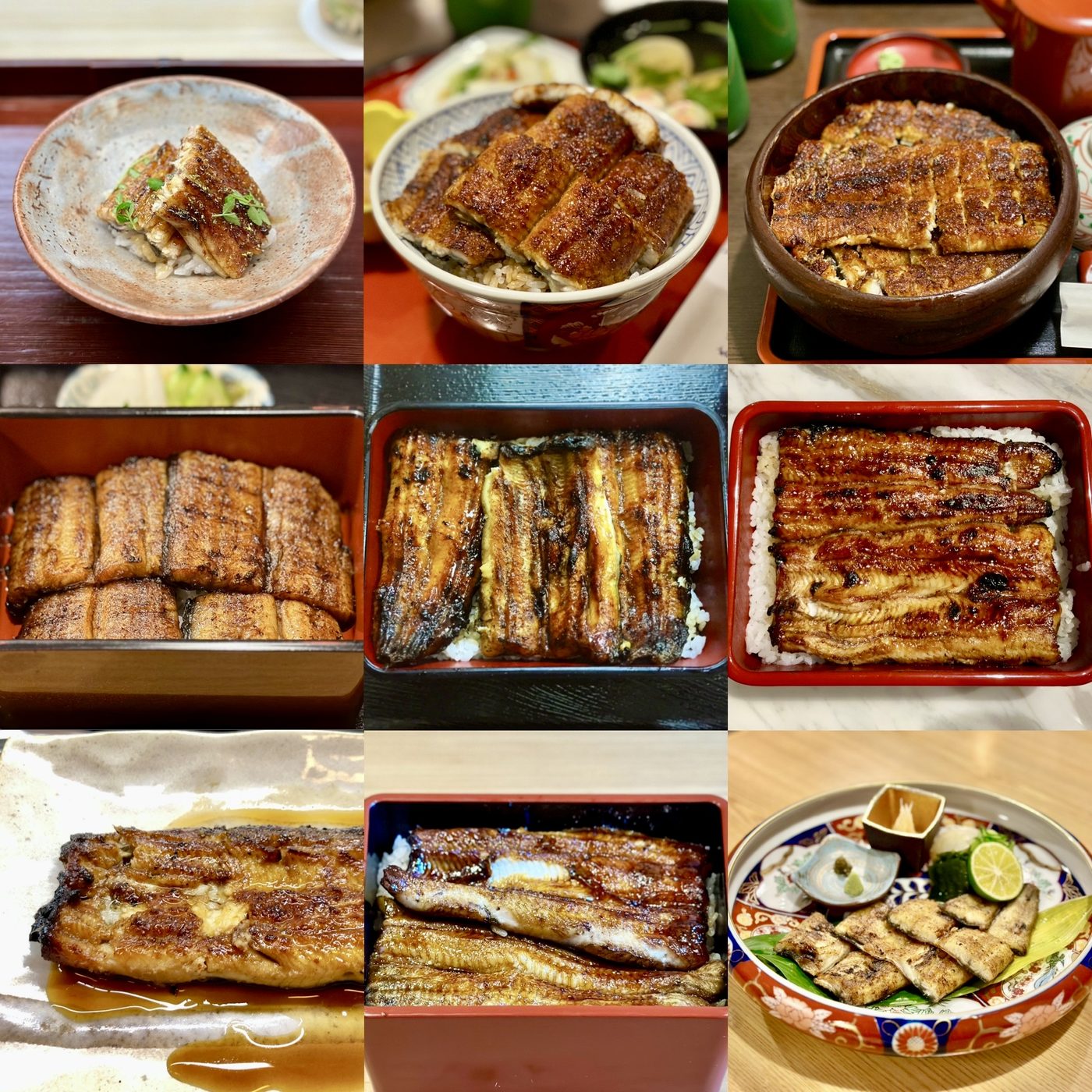 Nodaiwa Unagi (Grilled Eel)