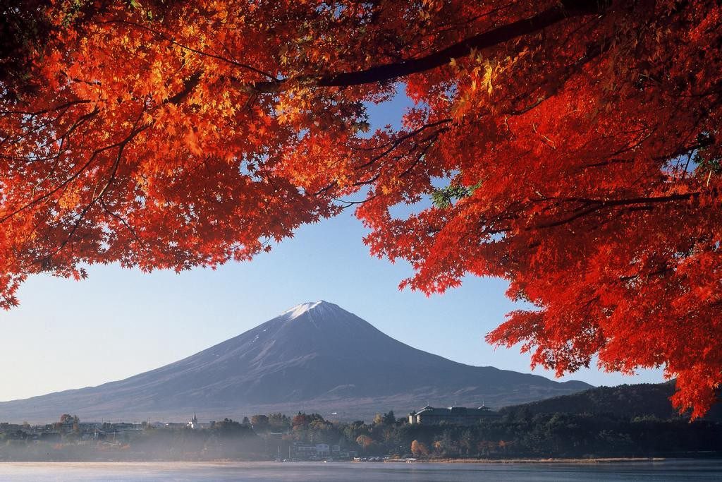 Momiji Kairo (Maple Corridor)