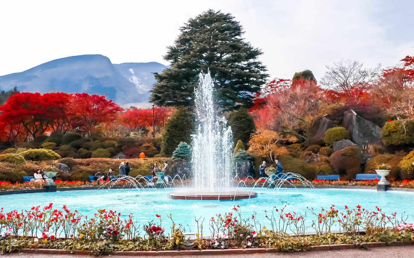 Gora Park