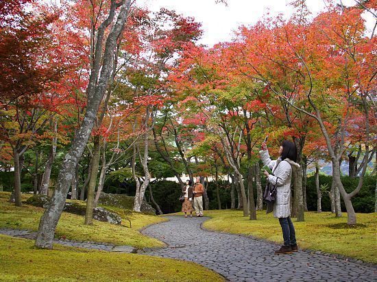 Hakone Museum of Art Moss Garden