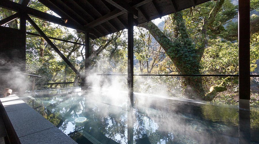 Hakone Yuryo (Day Onsen)