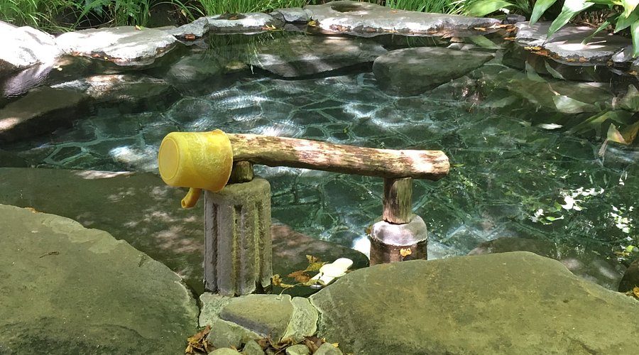 Tenzan Tohji-kyo (Day Onsen)