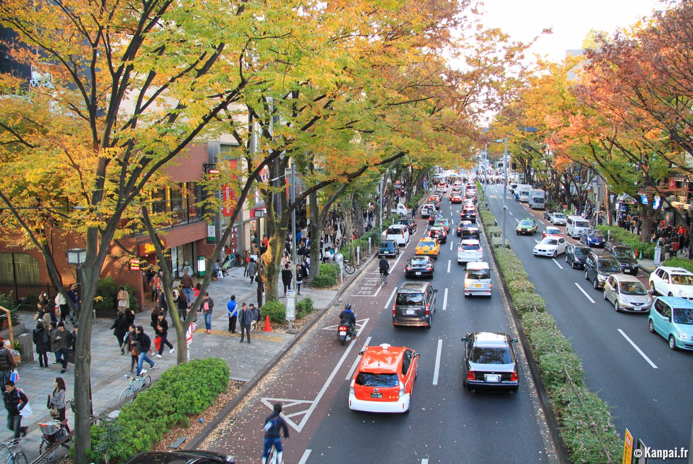 Harajuku & Omotesando