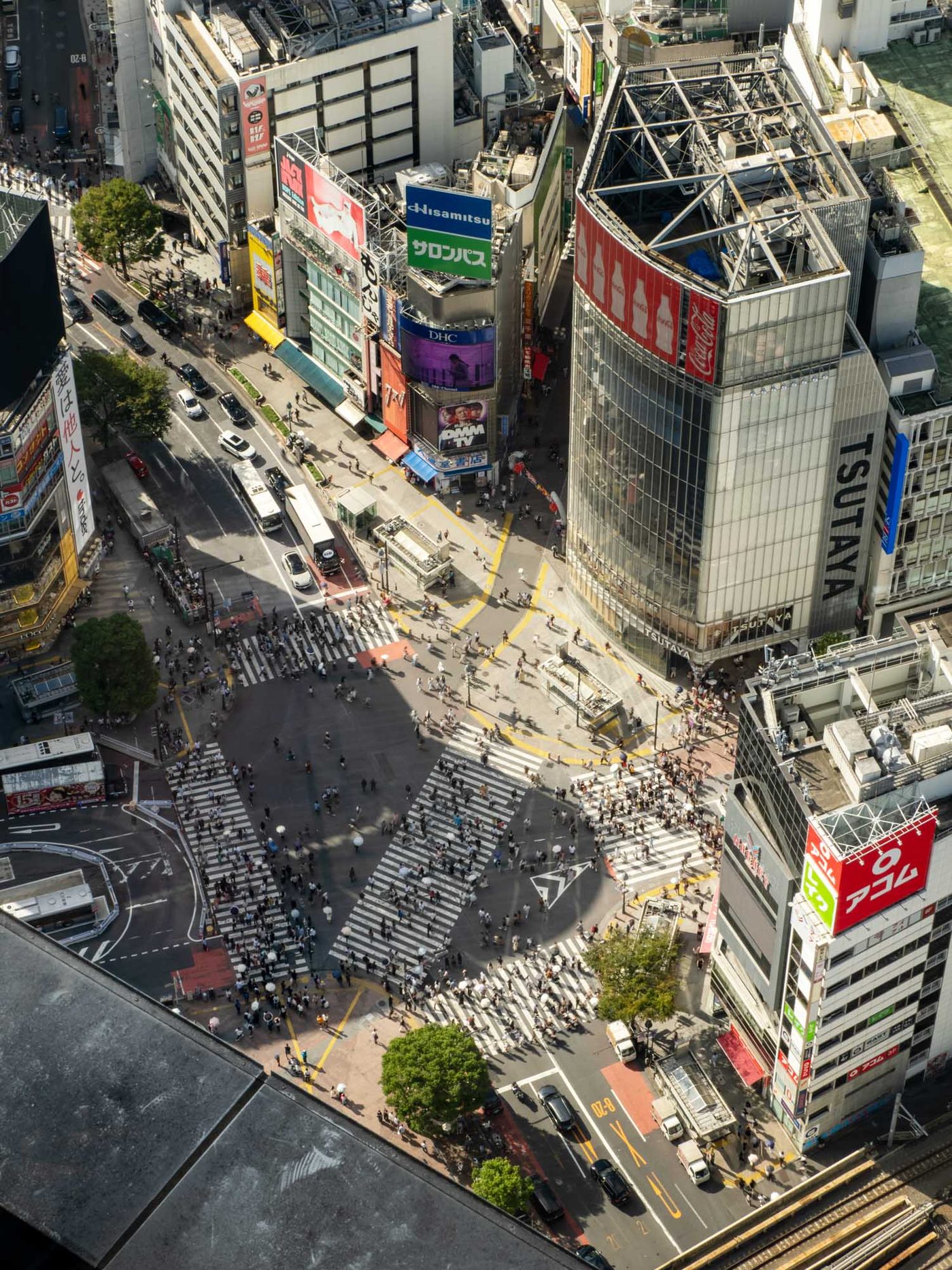 Shibuya Crossing & Shibuya Sky
